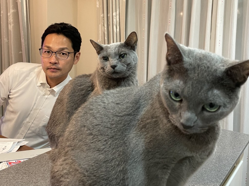 手前右側とその斜め左後ろに2匹のグレーの猫が写っており、その左斜め後ろにめがねをかけた箱山さんが斜めに顔を出して写っている写真です。
